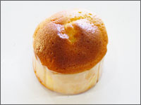 �~���N�V�t�H��